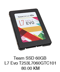 Team SSD 60GB L7 Evo T253L7060GTC101